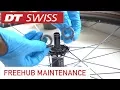 DT Swiss hub maintenance How-To Tutorial. Clean and grease!