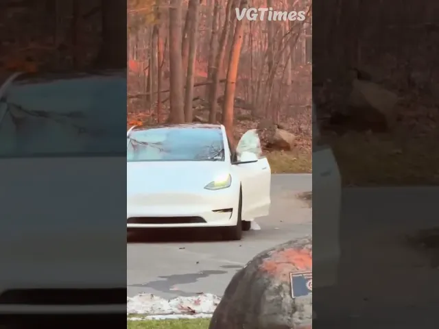 С Apple Vision по нужде