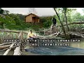 Download Lagu Menghindari teror malam hari saya oindah tempat tiduruntuk sementara waktu hidup di hutan