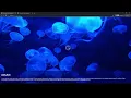 How to Create a Fullscreen Background with Buttons HTML CSS and JS