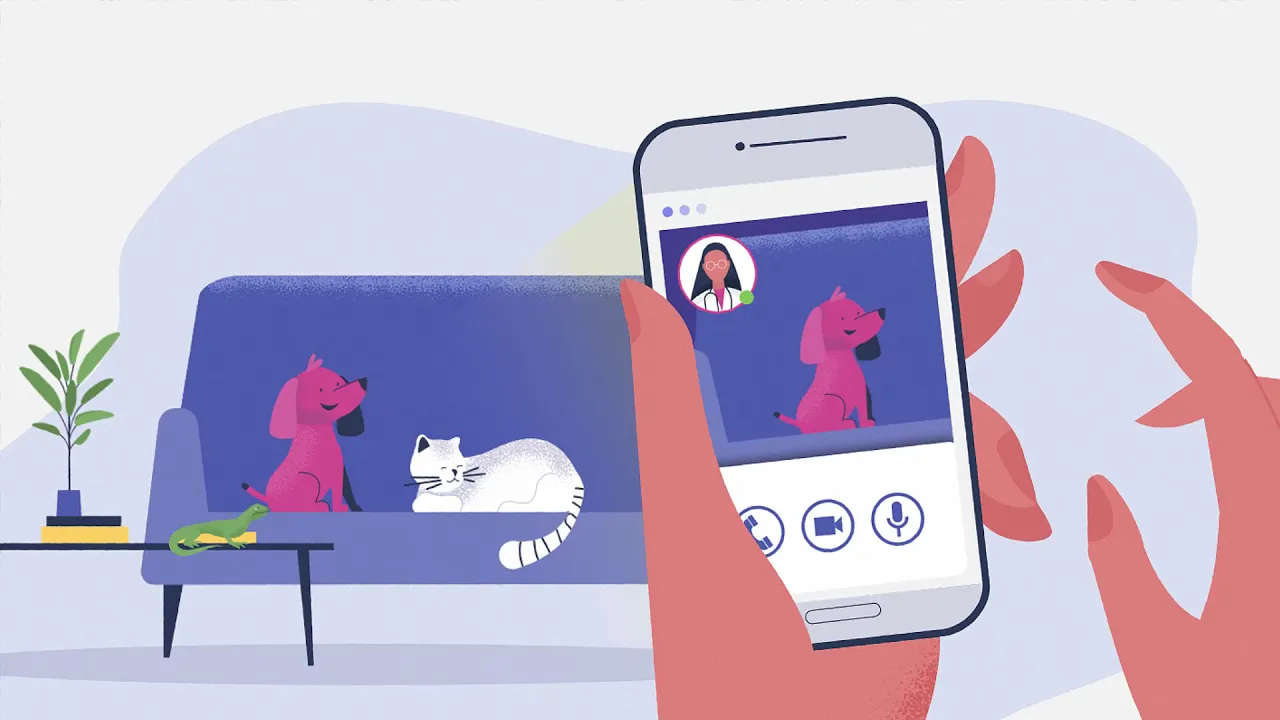 Vetster B2B social media video