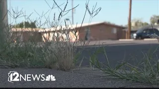 Mesa Police say violent crime down 14 after data-driven program targets hot spot areas