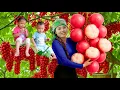 Download Lagu Panen Epik! 1000KG+ Buah Hutan Raksasa \u0026 Masak Ikan untuk Putri Kecilku