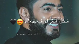 اغنيه محتاج كل اللي فيك خليني تامر حسني دندنها