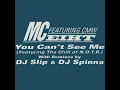 You Can't See Me (Instrumental)