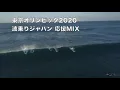 コラボ企画【2005年-2021年 BEST DJMIX】海辺で聴きたいDefTech デフテック/作業用BGM/サーフトリップ用/DJ MIX