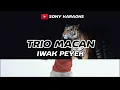 Lagu Iwak Peyek || Trio Macan || Karaoke || @sonykaraokeofficial