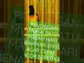 Download Lagu PANCINGAN MURAI BATU MALAM HARI MENAIKAN EMOSI AGAR CEPAT GACOR SEKETIKA