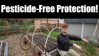 Download Protect Your Vegetables Without A Greenhouse! Row Cover is Amazing! MP3