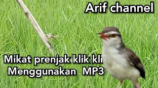 Download Mikat prenjak klik klik/sawah menggunakan MP3 MP3