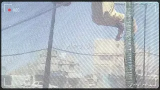 تربلين دندنها