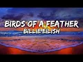 🎵 Birds of a Feather – Billie Eilish | 1 HOUR Loop with Lyrics 🎤🔥 Trending 2025 HIT!