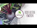 Download Lagu Rode bieten zaaien | Bieten kweken: van zaaien tot oogsten