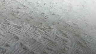 موكيت ١ ٤٩ ابو ساكوت اوتستراد الزرقاء 