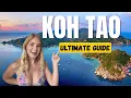 Download Lagu ULTIMATE GUIDE TO KOH TAO 2024 (Where to Stay, Where to Eat, Things to do and Much More!)