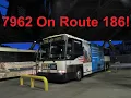 NeoplanDude NJ Transit 2002 MCI D4000 On Route 186 To GW Bridge Bus Terminal
