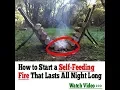 Survival Hunter Stat Priority Survival Hunter Stat Priority