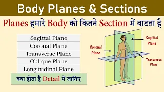 Body Planes and Sections Sagittal Coronal Transverse Plane Anatomical Planes