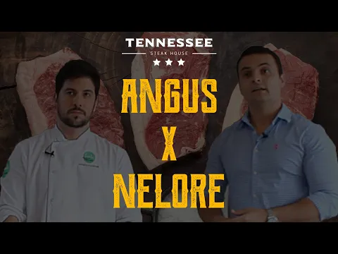 Download MP3 Carne Angus x Carne Nelore: entenda a diferença | Tennessee Steak House