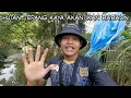 Download Lagu MANTAP❗Mancing di sungai jepang panen ikan besar || JEPANG pt.3