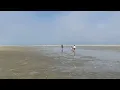 amazing cape cod low tide