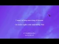 Bialystocks - 言伝  (Kotozute) Lyrics (KAN/ROM/VIE/ENG)