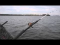 Abu Garcia C3 Catfish Special Round Reel Product Review