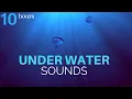 Download Lagu Deeply Relaxing Underwater Sounds - 10 Hours | Deep Ocean Sounds - Sleep, Relax, Study, Meditation