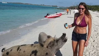 Swimming pigs, Thunderball Grotto and Staniel Cay – S1:E13
