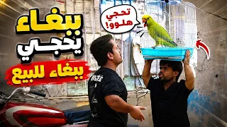 تحشيش الدعابله يسرقون ببغاء 🦜 يتكلم 🗣️