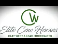 Ranch Sorting - Gate Work Training Session