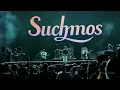 [4K] 261003 Suchmos(서치모스) Full Live | 부산국제록페스티벌 2026 부락 @ 삼락생태공원