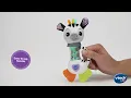 Rattling Rain Stick Zebra Demo VTech Canada