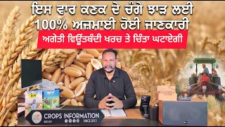 ਕਣਕ ਬਿਜਾਈ ਲਈ ਸ਼ੁਰੂਆਤ ਤੋਂ ਪਹਿਲਾਂ ਜਾਣੋ ਇਹ ਖਾਸ ਨੁਕਤੇ ਜੋ ਕਣਕ ਦੇ ਝਾੜ ਵਿੱਚ ਵਾਧਾ ਤੇ ਘੱਟ ਖਰਚ ਵਿੱਚ ਸਹਾਈ ਹੋਣਗੇ