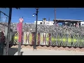 Denver RTD G Line Rail Shuttle Olde Town Arvada - Wheat Ridge Ward