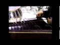 ShivKumar Sharma - Improvisation - Raag Rageshwari, Rageshri, Rageshree HQ
