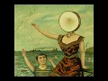 Holland, 1945 by Neutral Milk Hotel