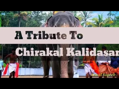 Download MP3 Aa. kombanana ee kombanan (chirakal kalidasaan elephat song)