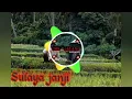 Lagu Dj tarling SULAYA JANJI