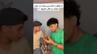 لما تلفون اختك يرن وترد عليه شوف رد فعل حببها هتتصدم حـــمـــو الــــمـــحــــارب 