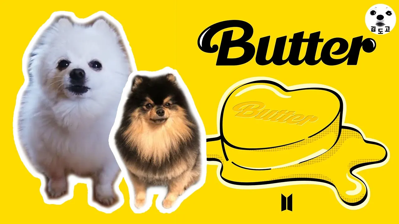 BTS (방탄소년단) Butter 강아지 리믹스 Dog Cover