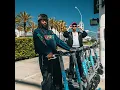 Birds - Aklesso & Miles Minnick