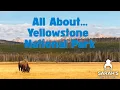 Sarah s Wiki Corner Podcast 26 - Yellowstone National Park