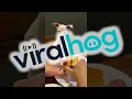 Download Lagu This is an Injustice || ViralHog