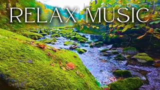 I found real TRANQUILITY here Relaxing Music River Sounds in Austria Human Composer No AI