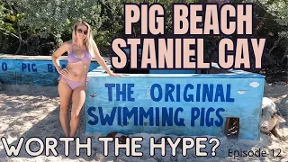 Pig Beach, Staniel Cay (Bahamas) and our very first visitors on our boat.