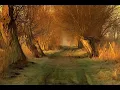 Burial & Four Tet - Moth