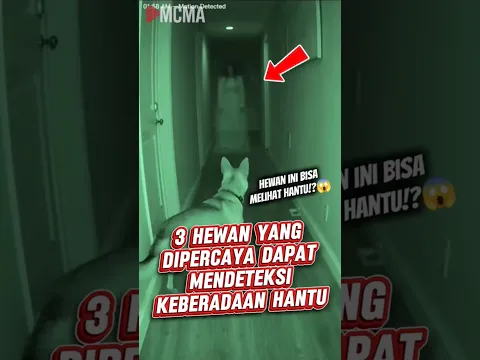 3 hewan yang dipercaya dapat mendeteksi keberadaan hantu