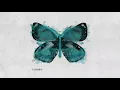 James TW - Butterflies (Official Lyric Video)