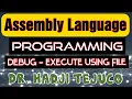 Assembly language tutorial - Debug executing commands using a file
